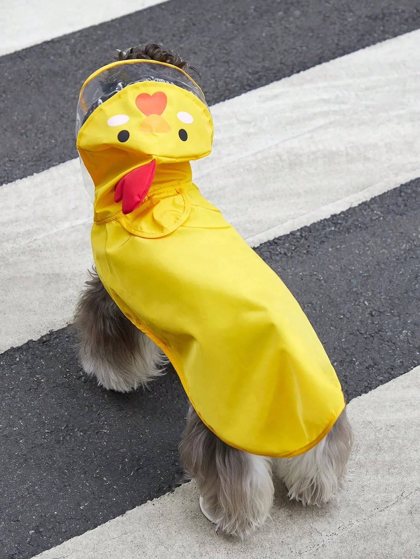 PETSIN Cartoon Chicken Pet Raincoat