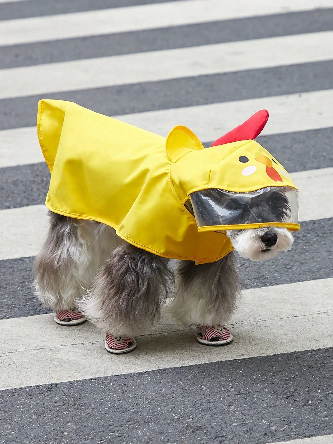 PETSIN Cartoon Chicken Pet Raincoat
