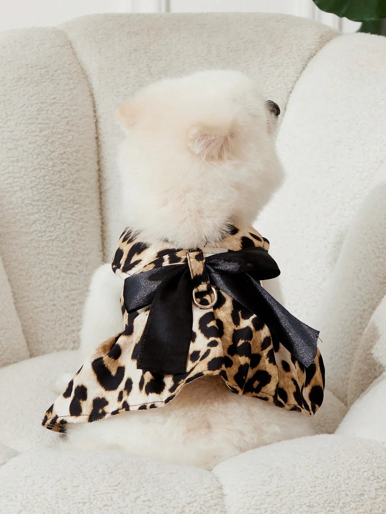 PETSIN Leopard Print Pet Set