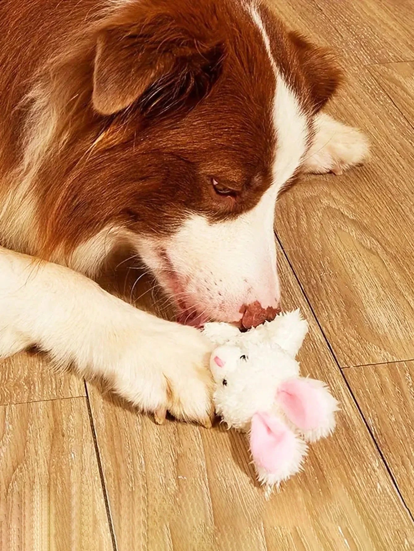 PETSIN Easter Rabbit Dog Toys