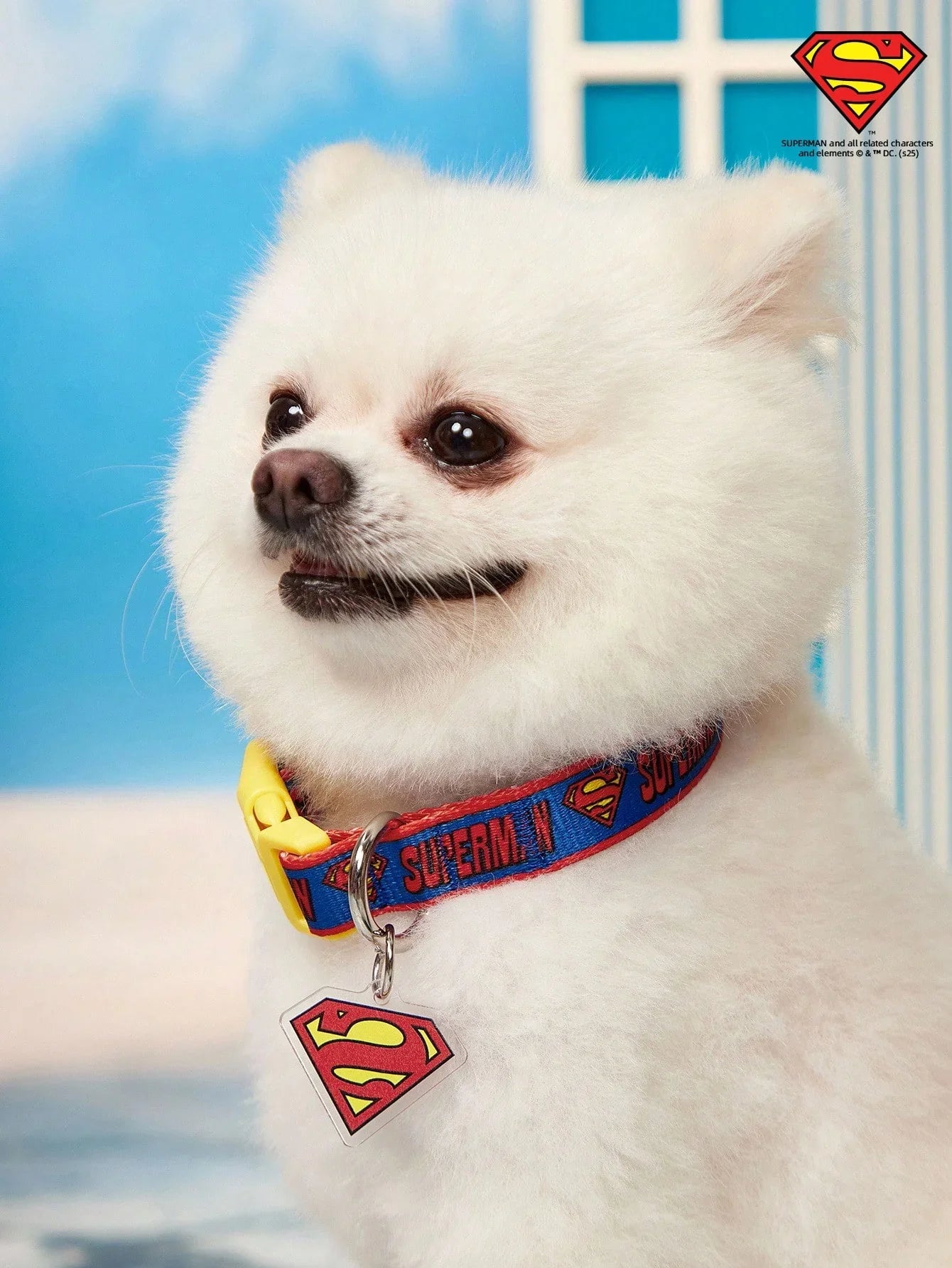 SUPERMAN PETSIN Dog Collar