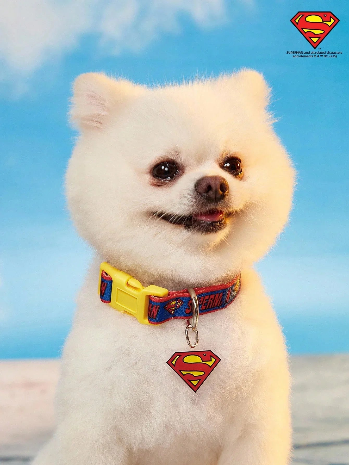 SUPERMAN PETSIN Dog Collar
