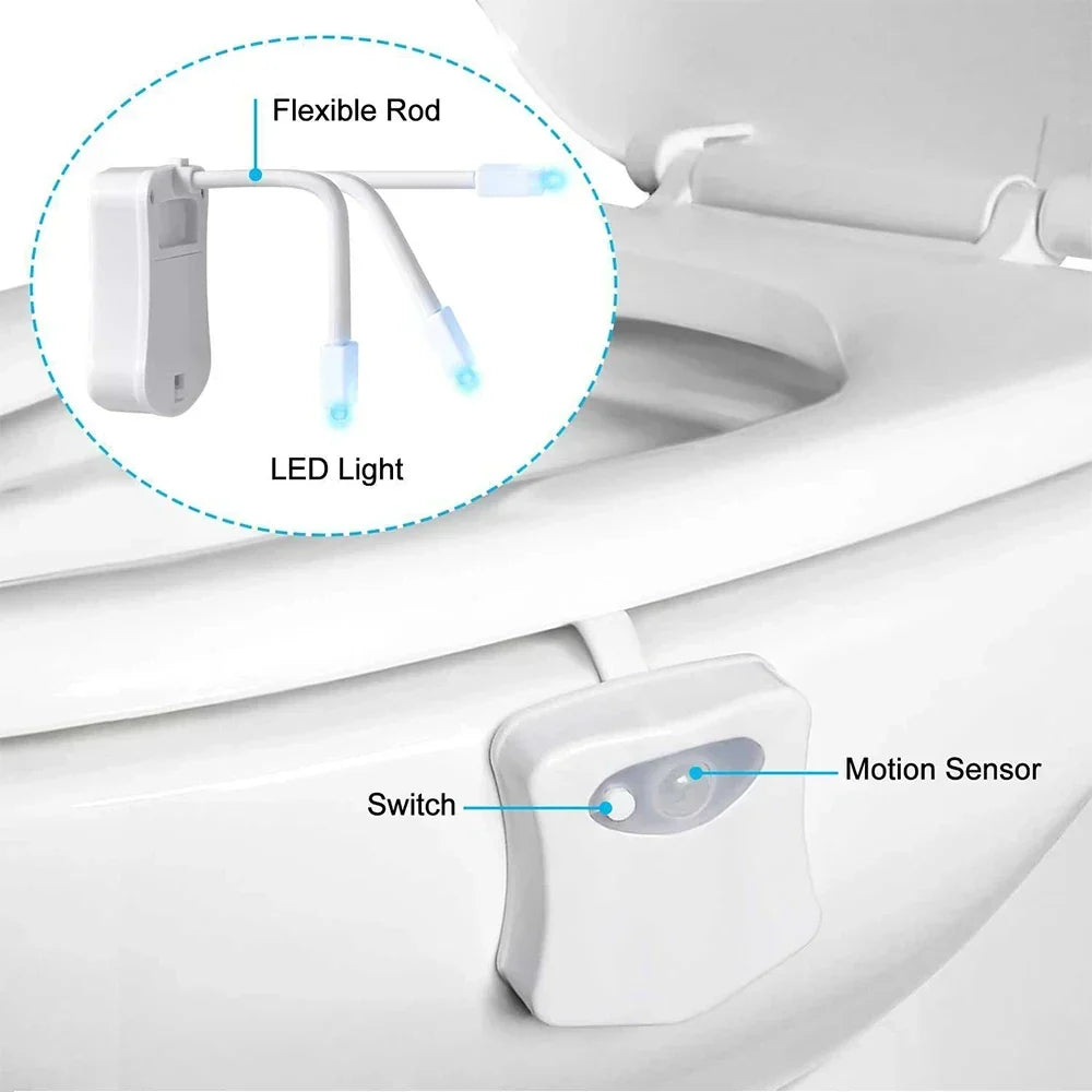 Motion Sensor LED Night Light