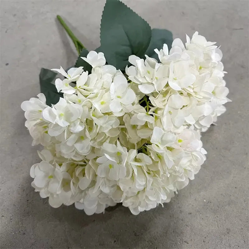 Large Hydrangea Flower Head