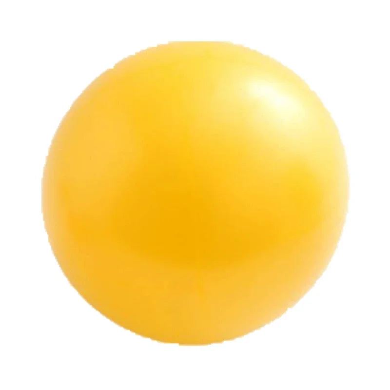 25cm Yoga Exercise Ball