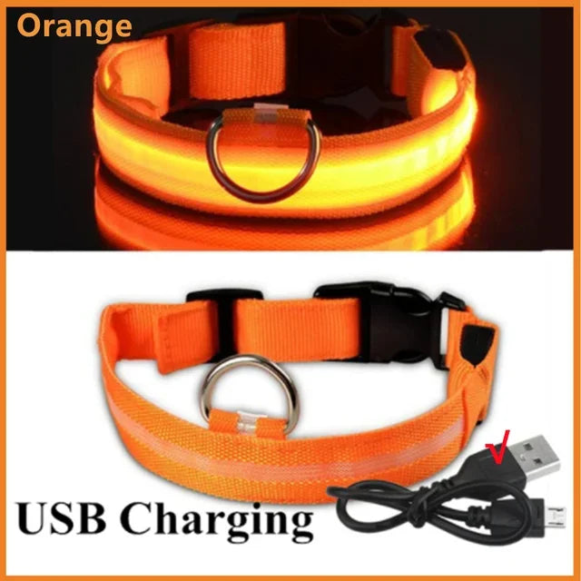 LED Rechargeable Dog Glow Collar